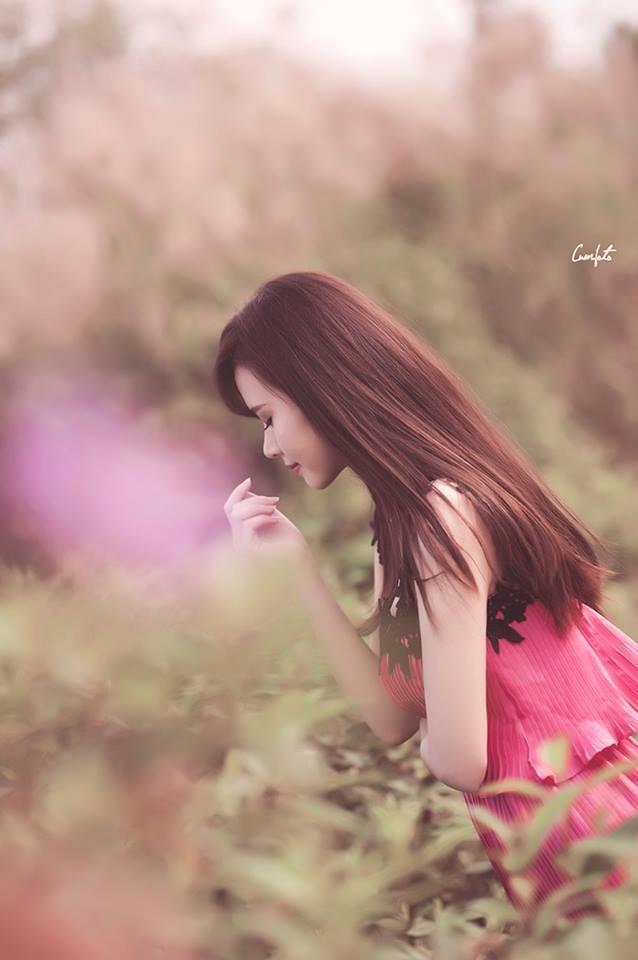 叶三小百合电影在线观看